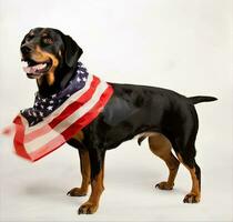 perro en el antecedentes de el americano bandera. americano bandera en independencia día. el concepto de America. bandera día en el unido estados de America. creado con generativo ai tecnología. foto