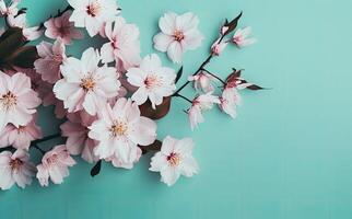 Dreamy cherry blossoms as a natural border, studio isolated on pure background, panorama format created with technology. photo
