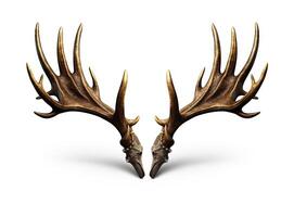 Large deer antlers on white background. created with technology photo