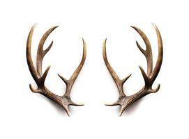 Large deer antlers on white background. created with technology photo