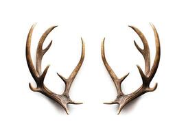 Large deer antlers on white background. created with Generative AI technology photo