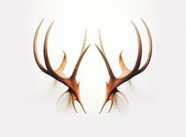 Large deer antlers on white background. created with technology photo