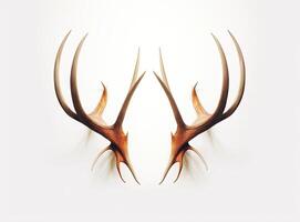 Large deer antlers on white background. created with Generative AI technology photo