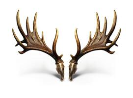 Large deer antlers on white background. created with technology photo