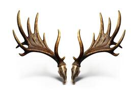 Large deer antlers on white background. created with Generative AI technology photo