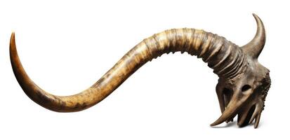 old horn isolated on white background created with Generative AI technology photo