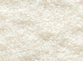 Basmati rice seamless texture created with technology photo