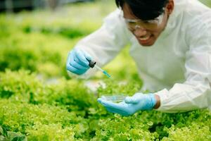 Biologist puts sprout in test tube for laboratory analyze. Two scientists stand in organic farm. check, laboratory in greenhouse. photo