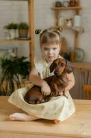 a little happy girl playing with a dachshund dog in the kitchen photo