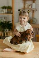 a little happy girl playing with a dachshund dog in the kitchen photo