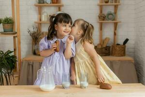 little happy girls fool around in the spring and cook in the kitchen photo