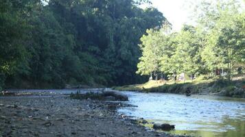 Water stream in summer green nature photo