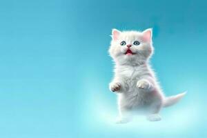 A cute little white cat on a blue background, generated by ai photo