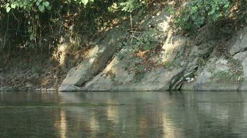 Water stream in summer green nature photo