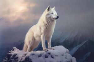 A white wolf stands on a snowy mountain top. Animal portrait. Generative AI photo