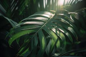 Green tropical palm leaves. Minimal summer abstract jungle or forest pattern. photo