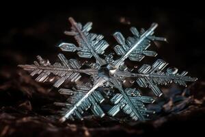 Closeup macro shot of a transparent snowflake. photo