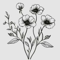 Flower illustrations with thin stem vector