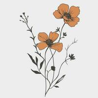 Flower illustrations with thin stem vector