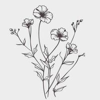 Flower illustrations with thin stem vector