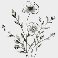 Flower illustrations with thin stem vector