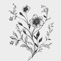 Flower illustrations with thin stem vector