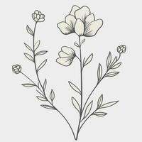 Flower illustrations with thin stem vector