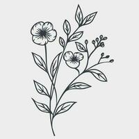 Flower illustrations with thin stem vector