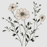 Flower illustrations with thin stem vector