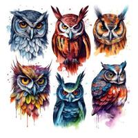 Colorful Owl Tattoo Designs on White Background for Body Art Enthusiasts. Generative AI photo