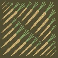 Salsify vector illustration for graphic design and decorative element