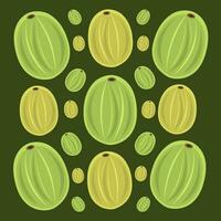 Gooseberry vector illustration for graphic design and decorative element