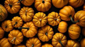 Pumpkins of multiple colors background photo