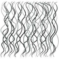 vertical curly lines. Abstract monochrome background. Vector illustration isolated on white background.