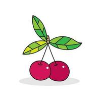 Cherry color vector illustration isolated on white background