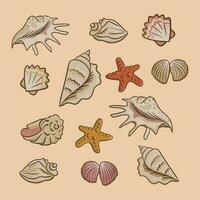 Collection of flat vector seashells. Sea or ocean elements composition. Isolated seashells and starfish on sand background. Perfect for stickers, tatoo, pattern, background, wrapping paperb