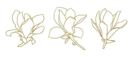 Set of magnolia flowers with branches in gold color. vector