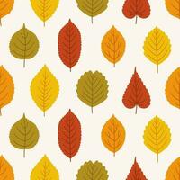 Seamless autumn pattern with different cute leaves. vector