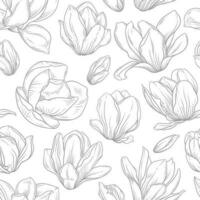 Seamless pattern with blooming magnolia flowers in sketch style. vector