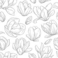 Seamless pattern with blooming magnolia flowers in sketch style. vector