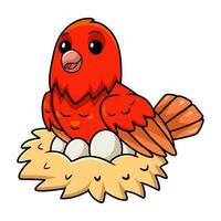 Cute red factor canary cartoon with eggs in the nest vector