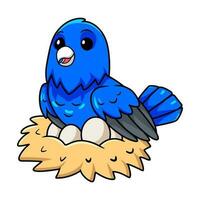 Cute blue factor canary cartoon with eggs in the nest vector