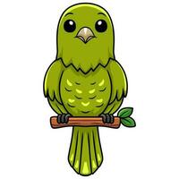 Cute green canary cartoon on tree branch vector