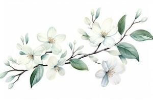 Watercolor of Tropical spring floral green leaves and flowers elements isolated on white background, bouquets greeting or wedding card decoration, with Generative Ai. photo