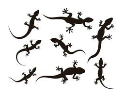 Lizard silhouette with many options, Gecko crawling climbing, Reptile lover vector