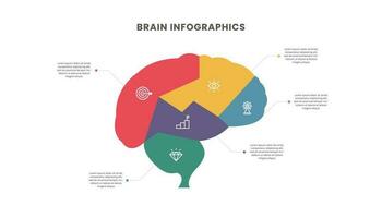 Brain infographic. Human brain anatomy structure. Five options or steps. vector