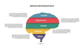 Brain Infographic template design. Five options or steps. vector