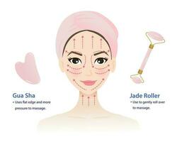 infografía de cómo a utilizar gua sha cara Roca y jade rodillo masaje herramienta con linda mujer cara vector aislado en blanco antecedentes. dirección para masaje hacia arriba a través de y a lo largo el rostro.