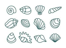 Set of various shells. Vector linear illustration.