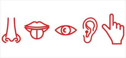 Sense organs smell, sight, hearing, touch, taste icon vector, illustration, symbol vector